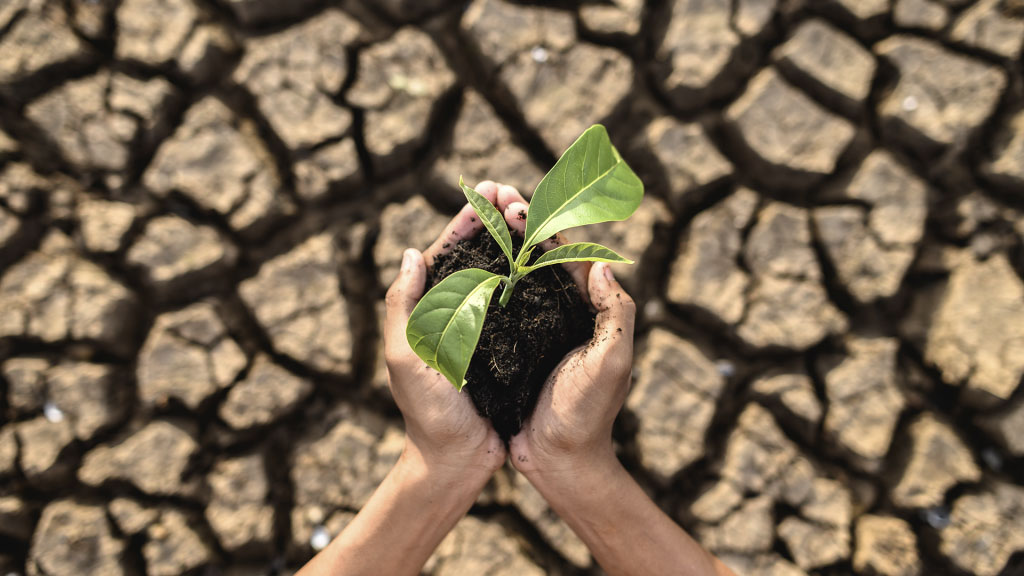 Comunicado Conjunto IAFISO sobre a adição de considerações sobre Mudanças Climáticas às Normas de Sistemas de Gestão